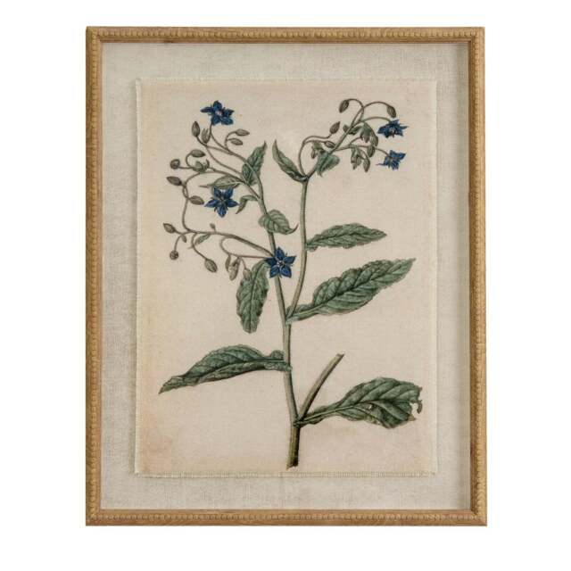 Flora & Fauna Collection Borage on Linen in Beaded Frame - image 1