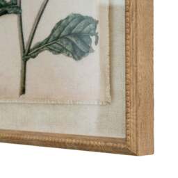 Flora & Fauna Collection Borage on Linen in Beaded Frame - thumbnail 2