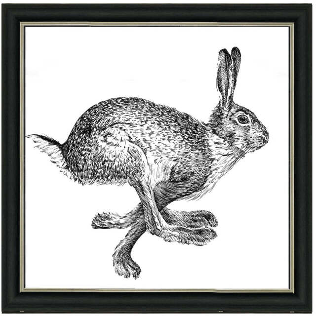 AN1515 BUNNY RABBIT II - image 1