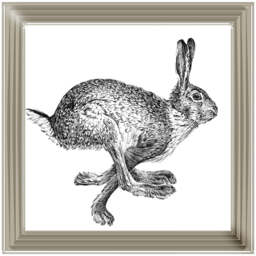 AN1515 BUNNY RABBIT II - thumbnail 4