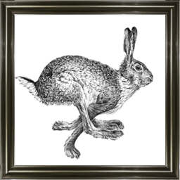 AN1515 BUNNY RABBIT II - thumbnail 6