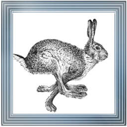 AN1515 BUNNY RABBIT II - 40x40 / White Lyon / PLAIN - thumbnail 5