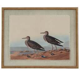 Flora & Fauna Collection Sandpipers on Linen in Beaded Frame