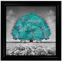 LS273 Blue Oak Tree - 70x70 / Black Lyon / Plain - thumbnail 2