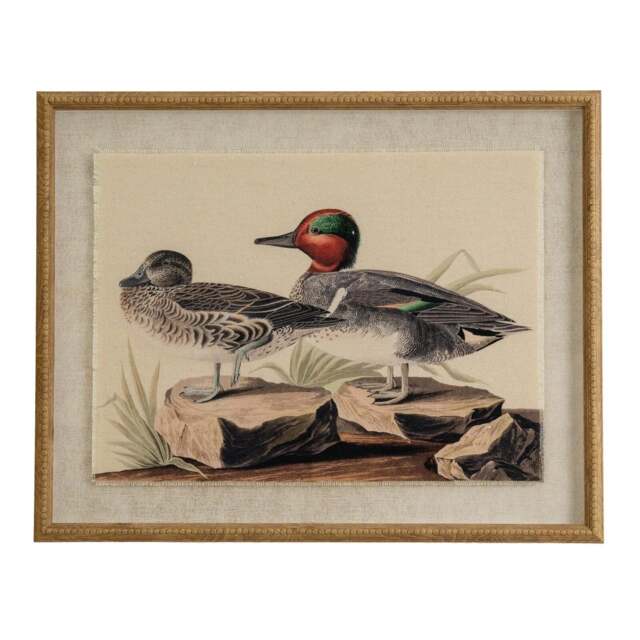 Flora & Fauna Collection Teals on Linen in Beaded Frame - image 1