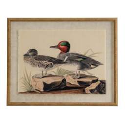 Flora & Fauna Collection Teals on Linen in Beaded Frame