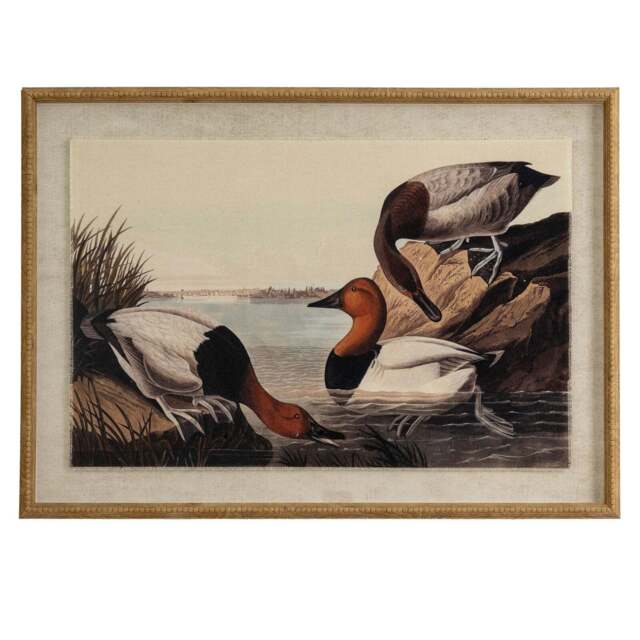 Flora & Fauna Collection Pochards on Linen in Beaded Frame - image 1