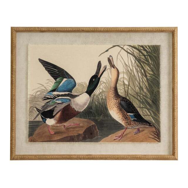 Flora & Fauna Collection Mallards on Linen in Beaded Frame - image 1