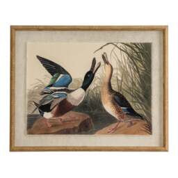 Flora & Fauna Collection Mallards on Linen in Beaded Frame