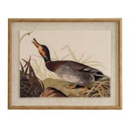 Flora & Fauna Collection Duck on Linen in Beaded Frame - thumbnail 1