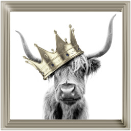 AN347 Crowned Cow Gold - thumbnail 3