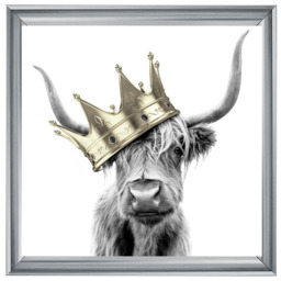 AN347 Crowned Cow Gold - thumbnail 6