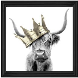 AN347 Crowned Cow Gold - thumbnail 1