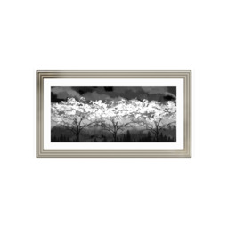 LS200 Black and white forest - 100x50 / Champagne Lyon / LA - thumbnail 3
