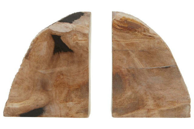 Bayview Petrified Wood Bookends – Set of 2 - image 1