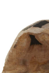 Bayview Petrified Wood Bookends – Set of 2 - thumbnail 3
