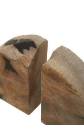 Bayview Petrified Wood Bookends – Set of 2 - thumbnail 4