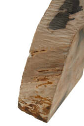 Bayview Petrified Wood Bookends – Set of 2 - thumbnail 2
