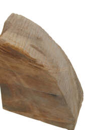 Bayview Petrified Wood Bookends – Set of 2 - thumbnail 5