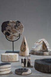 Bayview Decorative Bowl - thumbnail 4