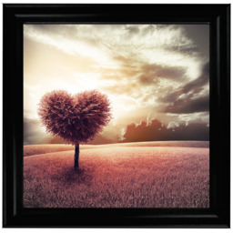 LS048 Heart Tree - thumbnail 4