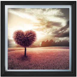 LS048 Heart Tree - thumbnail 5