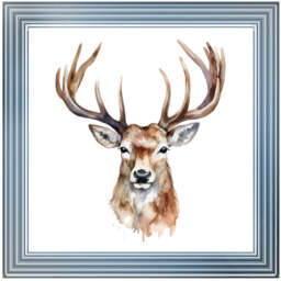 AN1524 STAG - thumbnail 5
