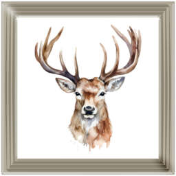 AN1524 STAG - thumbnail 4