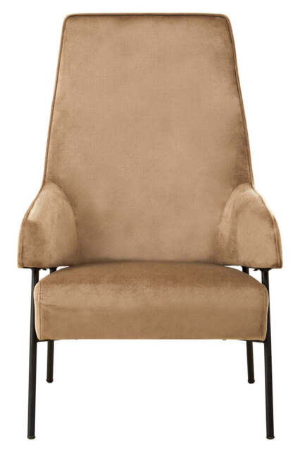 Darlisse Mink Velvet Chair - image 1