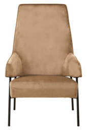 Darlisse Mink Velvet Chair - thumbnail 1