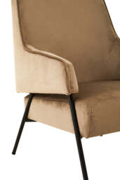 Darlisse Mink Velvet Chair - thumbnail 4