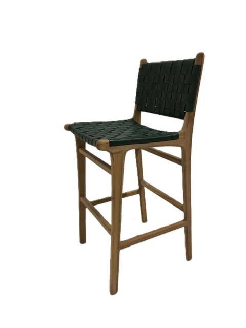 Sylmar Bar Stool w/ back - Green