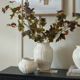 Elegant & Fluid: The Numa Olpe Vas