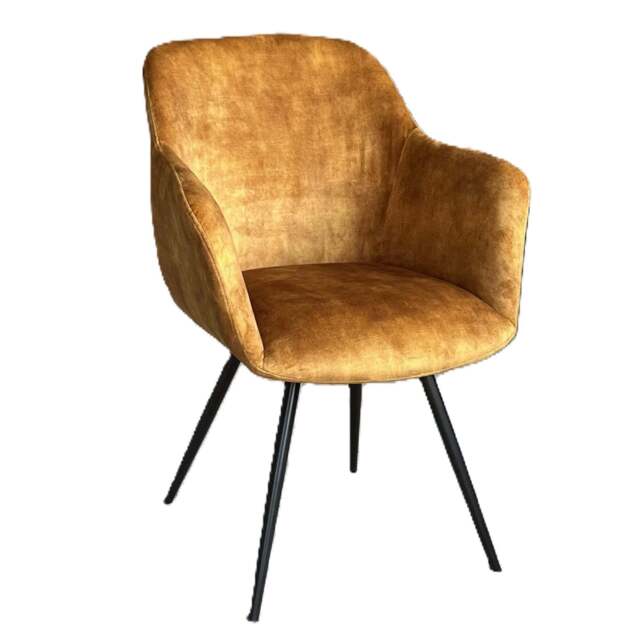 Vellane Dining / Occasional chair  gold - image 1