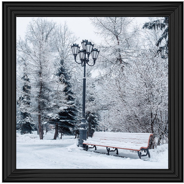 Winter Park - image 1