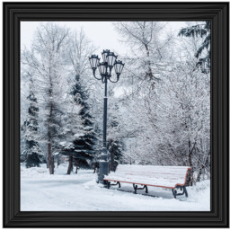 Winter Park - thumbnail 1