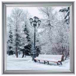 Winter Park - thumbnail 6