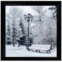 Winter Park - thumbnail 2