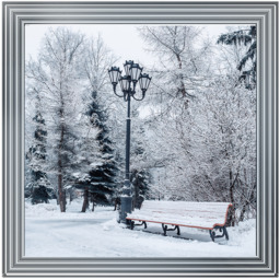 Winter Park - thumbnail 5