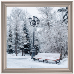 Winter Park - thumbnail 4