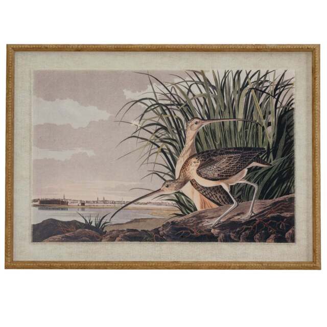Flora & Fauna Collection Curlews on Linen in Beaded Frame - image 1
