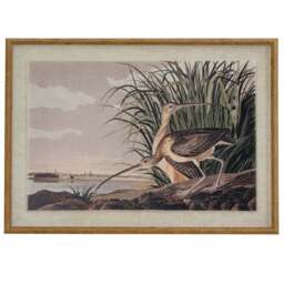 Flora & Fauna Collection Curlews on Linen in Beaded Frame - thumbnail 1