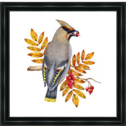 AN1507 BIRD WITH FRUIT & LEAVES - 40x40 / Silver Mirror / PLAIN - thumbnail 6