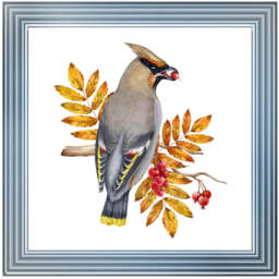 AN1507 BIRD WITH FRUIT & LEAVES - 40x40 / Silver Mirror / PLAIN - thumbnail 4