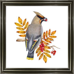 AN1507 BIRD WITH FRUIT & LEAVES - 40x40 / Silver Mirror / PLAIN - thumbnail 5