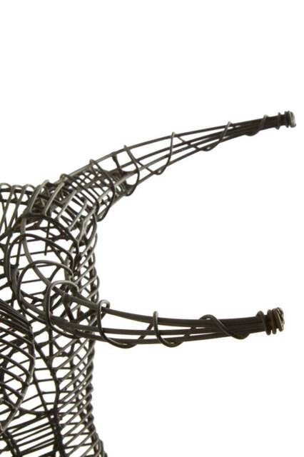 Oasis Buffalo Head – Black Finish - image 1