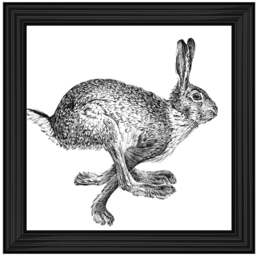 AN1515 BUNNY RABBIT II - 40x40 / Silver Mirror / PLAIN - thumbnail 2