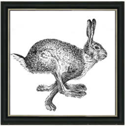 AN1515 BUNNY RABBIT II - 40x40 / Silver Mirror / PLAIN - thumbnail 1