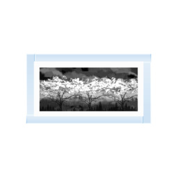 LS200 Black and white forest - 70x30 / White Venice / Plain - thumbnail 2