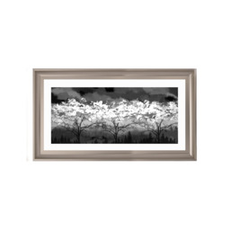 LS200 Black and white forest - 70x30 / White Venice / Plain - thumbnail 4